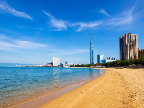 시사이드 모모치 해변 (シーサイドももち海浜公園)